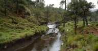 De parque ecológico a foco rojo: aumentan las desapariciones en el Ajusco, CDMX