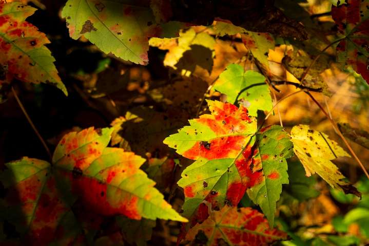 Lake effect rain showers to continue into chilly week ahead