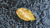 Rain and storms arrive in North Texas late this week