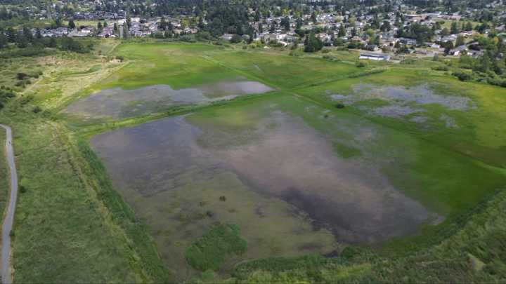 Saanich moves forward with ‘renewed vision’ for Panama Flats
