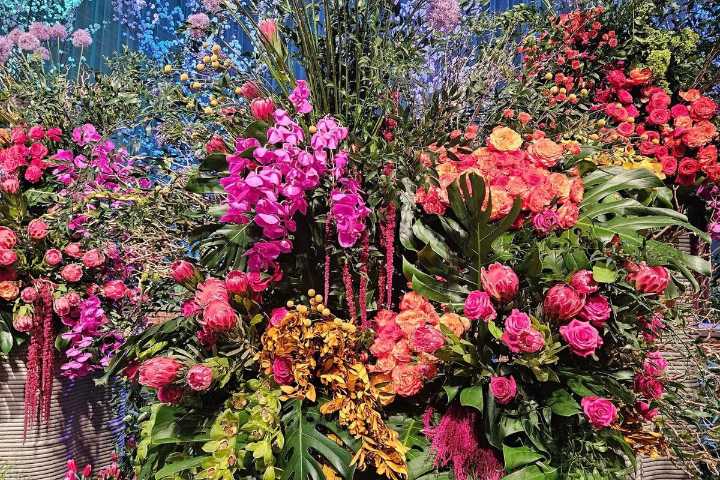 Flower fever returns--Inside Philly&CloseCurlyQuote;s stunning 2026 Flower Show
