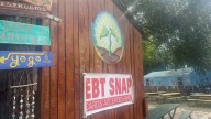 Weekend Digest Tampa Bay October 25 & 26