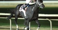 Teachintherelease captures Sam Huff West Virginia Breeders' Classic