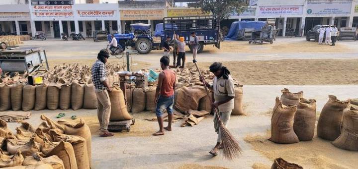 Explainer: Why are farmers’ crops still being weighed on manual scales in Haryana?