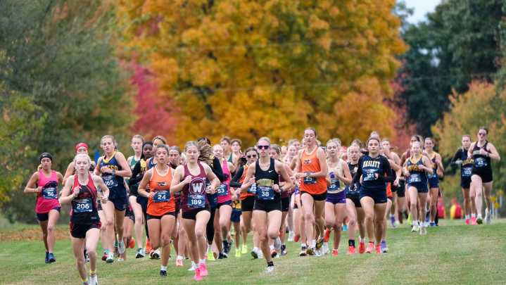 Photos: Boys and Girls Cross Country Regional race in DeWitt