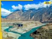 Big Blow to Pakistan: After India, THIS country is also planning to restrict riv
