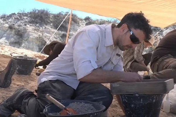 Reviví la histórica transmisión del CONICET que mostró "en vivo y en directo" la extracción de un fósil de dinosaurio
