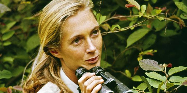 United Way CEO: In Jane Goodall, we lost one of humanity's clearest voices. The work begins now