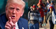 Se confirmó la peor noticia para inmigrantes | La Corte Suprema falla a favor de Trump: Estados Unidos puede deportar a 300.000 extranjeros