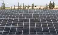 Waaree Energies Q2 net profit surges 134% to ₹878 crore on strong revenue growth; declares dividend