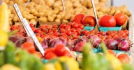 New in Town: 1,000 little moments at the farmers market