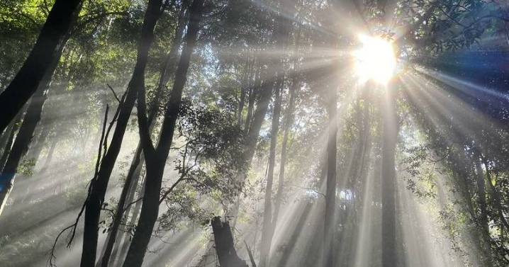 Minister takes aim at 'ridiculous' environment demands