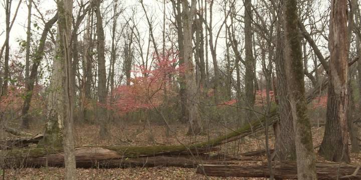 Returning challenge encourages hikers to explore Ice Age Trail in October