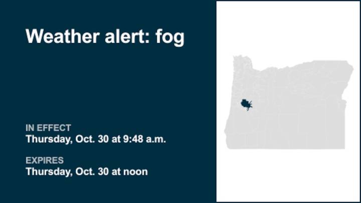 Weather alert for fog in Lane County Lowlands until Thursday midday