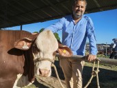 "Es un animal que puede producir carne en toda la Argentina"