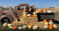 Love your Neighborhood: Ten Mile Farms Meridian