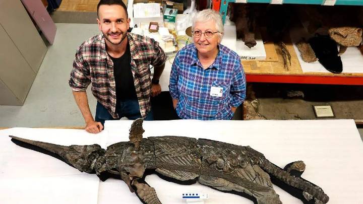 Un fósil de 2001 revela una nueva especie de reptil marino prehistórico