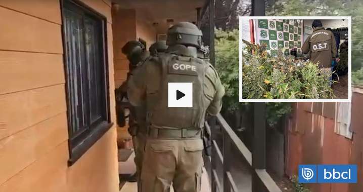 Incautan más de $300 millones en drogas en Valdivia: allanan 4 domicilios y detienen a 8 personas