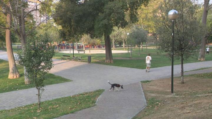 El plan millonario para regenerar el entorno del Parque Bruil: tiene el OK de Europa