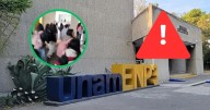¿Encontraron una bomba? Desalojan Prepa 3 de la UNAM tras hallazgo de objeto sospechoso