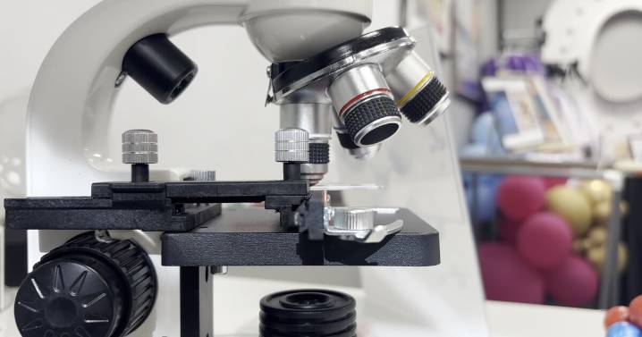 STEM Lab sparks curiosity and confidence in local youth