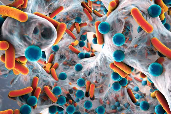 Antibiotic Prodrug Uses Bacteria's Resistance Genes to Turn Against Itself