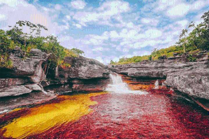 Caño Cristales inicia nueva temporada de visitas en la Macarena