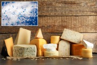 Your cheese is teeming with microplastics