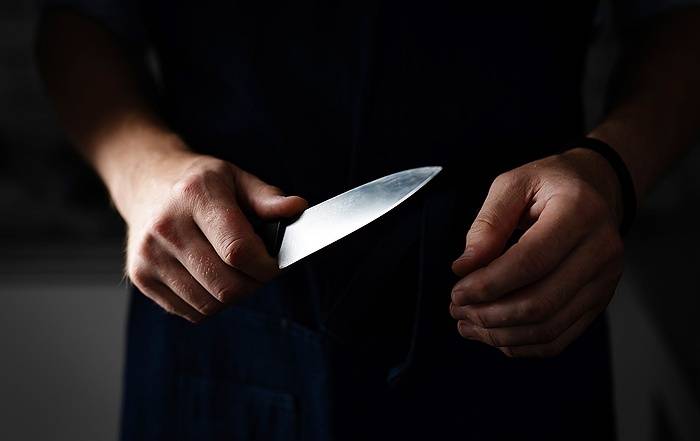 Roosevelt Man Pleads Guilty to Fatal Stabbing of Ex