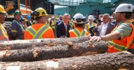 ‘We don’t know where we stand with the federal government’: Lumber industry reacts to new tariffs