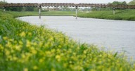 22 people found dead in Houston-area bayous this year