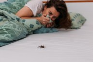 Soñar con arañas: qué significan y cómo interpretar estos sueños