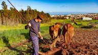 Los autónomos pagarán 1.000 millones de euros más en cotizaciones en 2025, pero afectará más a este sector: "Es complicado encontrar personal"