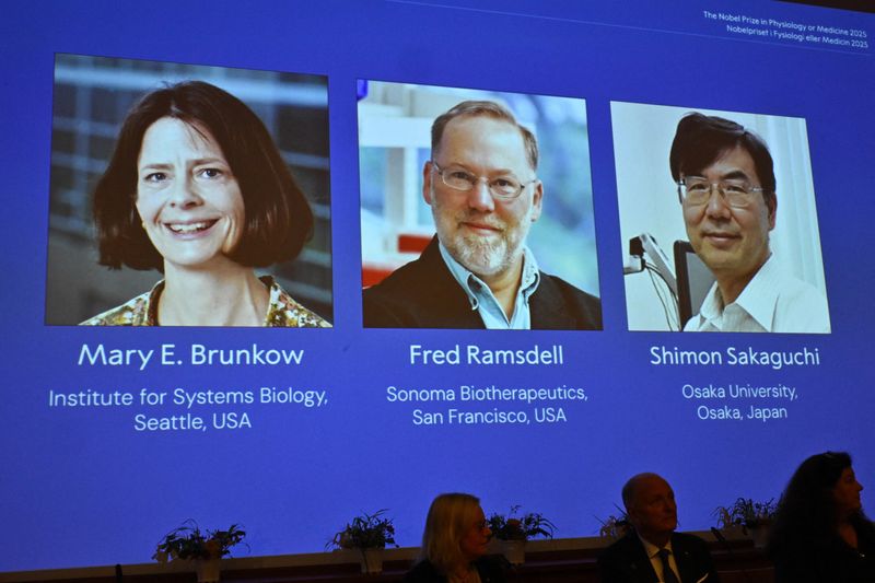 Nobel medicine prize goes to researchers into immune system precision