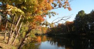 Exploring Troy's beauty in fall, and its restaurants