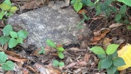 Old marble tablet found in backyard turns out to be Roman gravestone