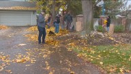 Rake Up Nampa looking for community volunteers to clear fall leaves