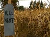 Sixth generation family farm finds creative ways to stay afloat amidst rising costs