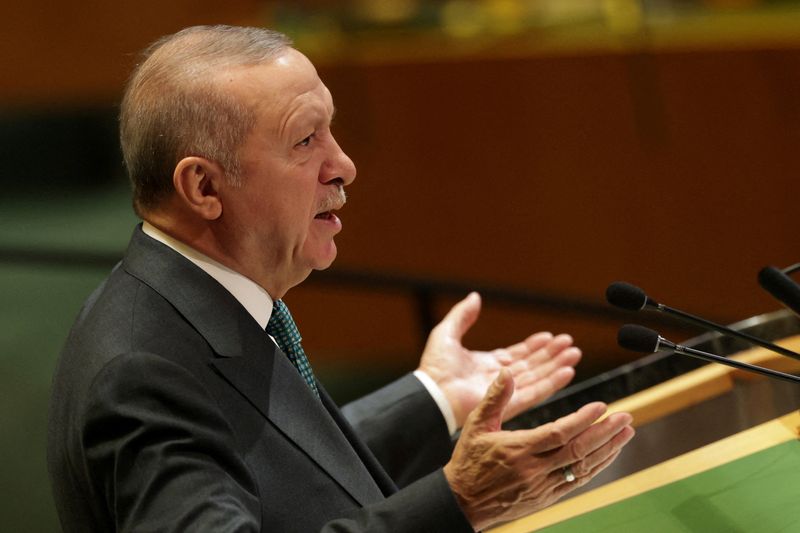 Erdogan says Turkey is explaining to Hamas best approach for Palestinian future