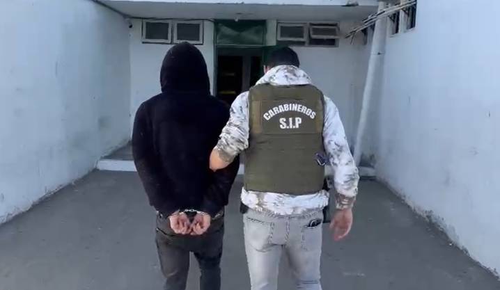 Detenido por cruel robo y faenamiento de yegua en Coquimbo: Fiscalía amplía la investigación a más involucrados