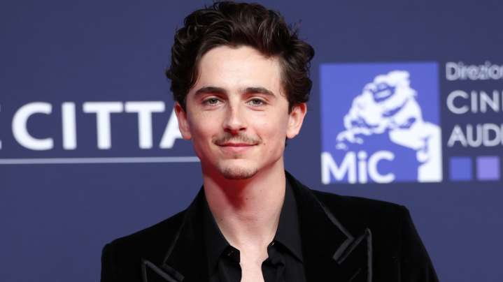 Timothée Chalamet's Favorite Movie Is The Best Superhero Film Ever Made