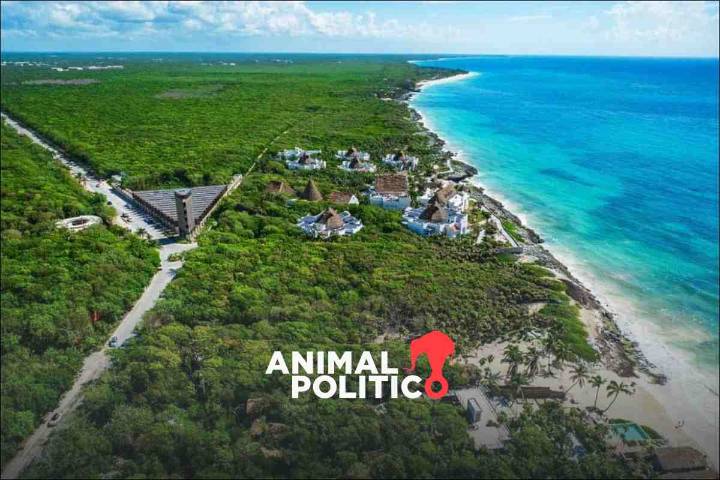 Diputados aprueban reforma para garantizar el acceso libre a playas; pasa al Senado