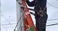 Servicio a la comunidad: CALF anunció un corte de luz programado para este jueves 23 de octubre