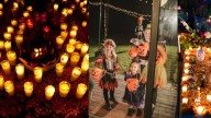¿Cuál es la relación de la celebración de Halloween con el Día de los Santos y el Día de Muertos?