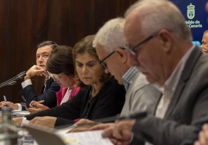 Seis de los ocho consejeros de NC en el Cabildo destituyen a Teodoro Sosa como portavoz