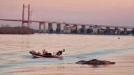 Cuidar el Río Paraná: advierten por el impacto ambiental y la pérdida de especies