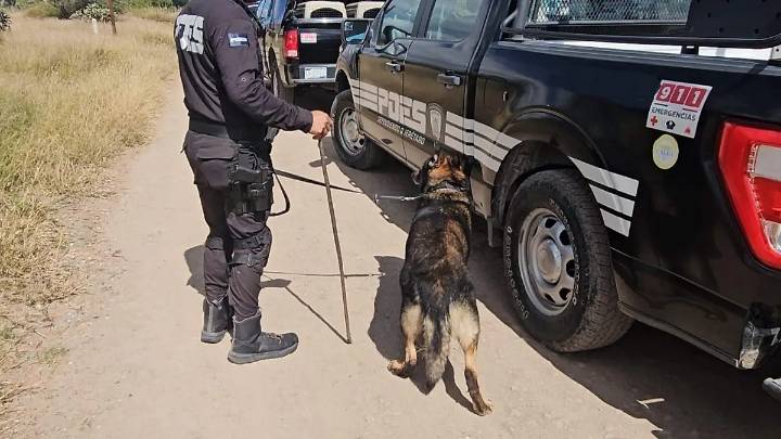 FGE investiga hallazgo de mujer calcinada