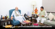 MP CM Mohan Yadav calls on Union Home Minister Amit Shah in Delhi