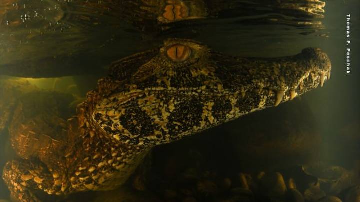 Este fotógrafo documentó sus 396 días en el Amazonas
