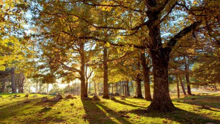 La increíble ruta de senderismo de Castilla y León entre gargantas y bosques dorados: "20 kilómetros de belleza"